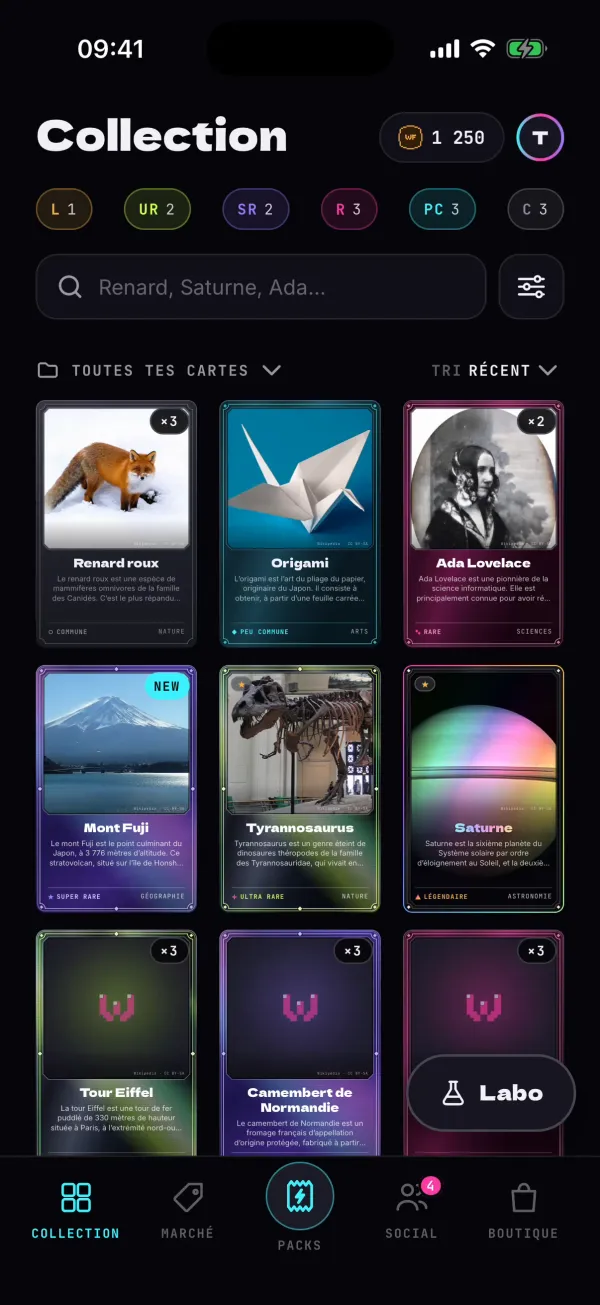 Écran Collection de l’app : une grille de cartes triées par rareté.